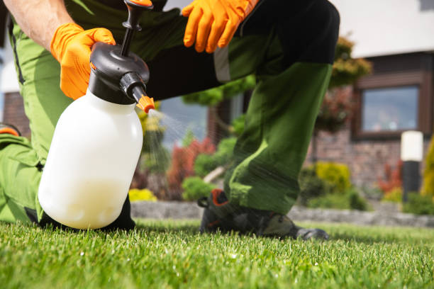 Elmendorf, TX Pest Control Company