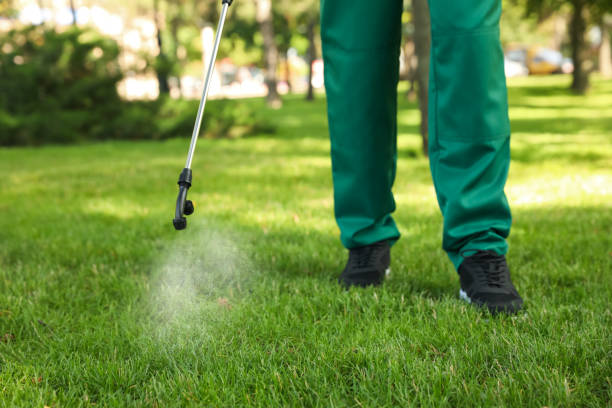 Best Best Pest Control Companies  in Elmendorf, TX