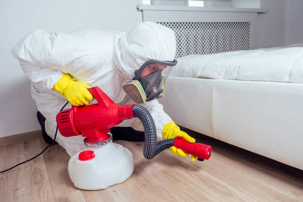 Best Termite Control Services  in Elmendorf, TX
