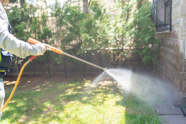 Best Flea Control Services  in Elmendorf, TX