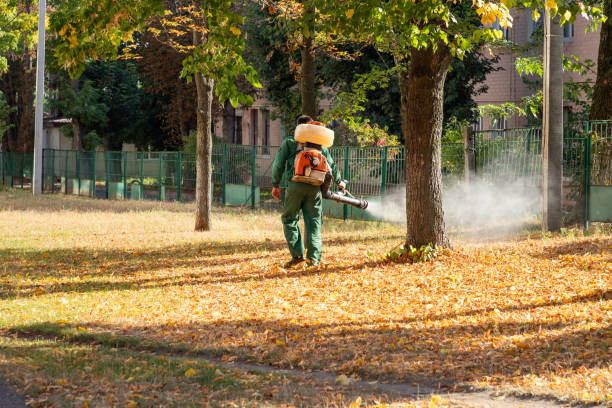 Best Residential Pest Control  in Elmendorf, TX
