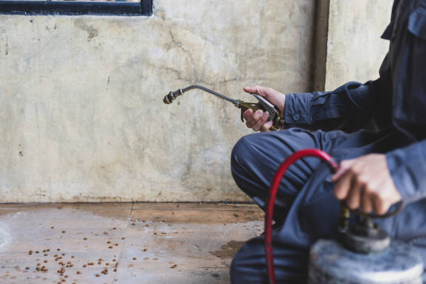 Best Mosquito Control Services  in Elmendorf, TX